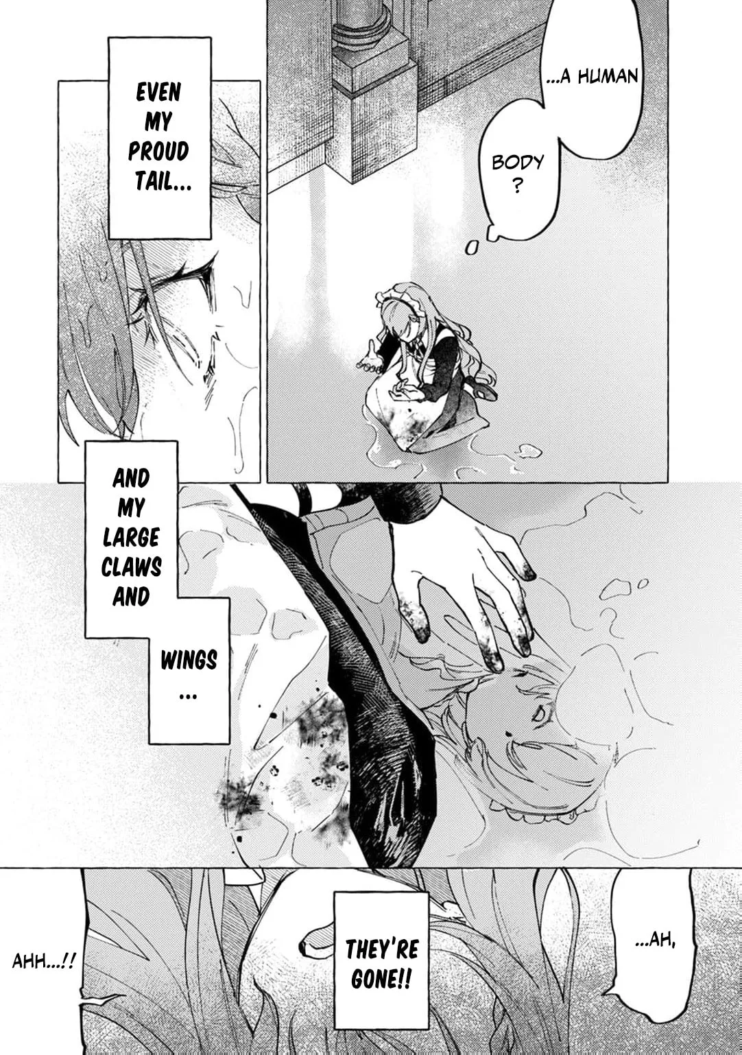 Wizrain Oukoku Monogatari ~Ryuu ga Hanayome~ Chapter 1 page 12
