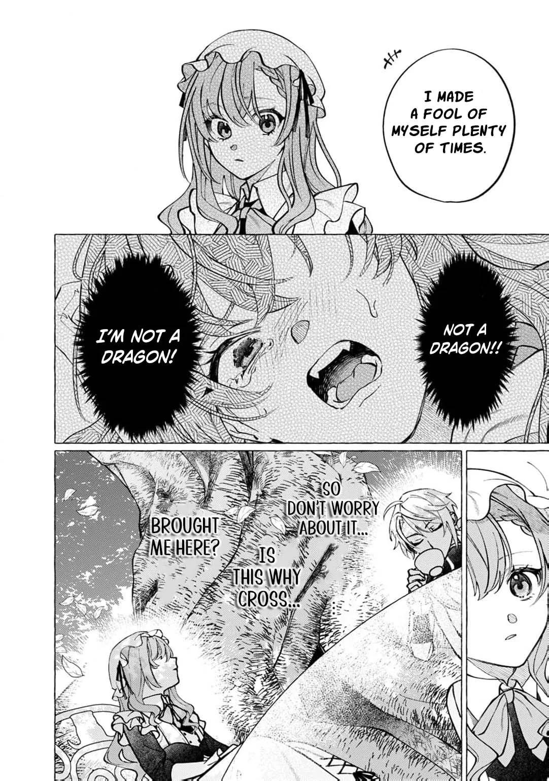 Wizrain Oukoku Monogatari ~Ryuu ga Hanayome~ Chapter 10 page 29