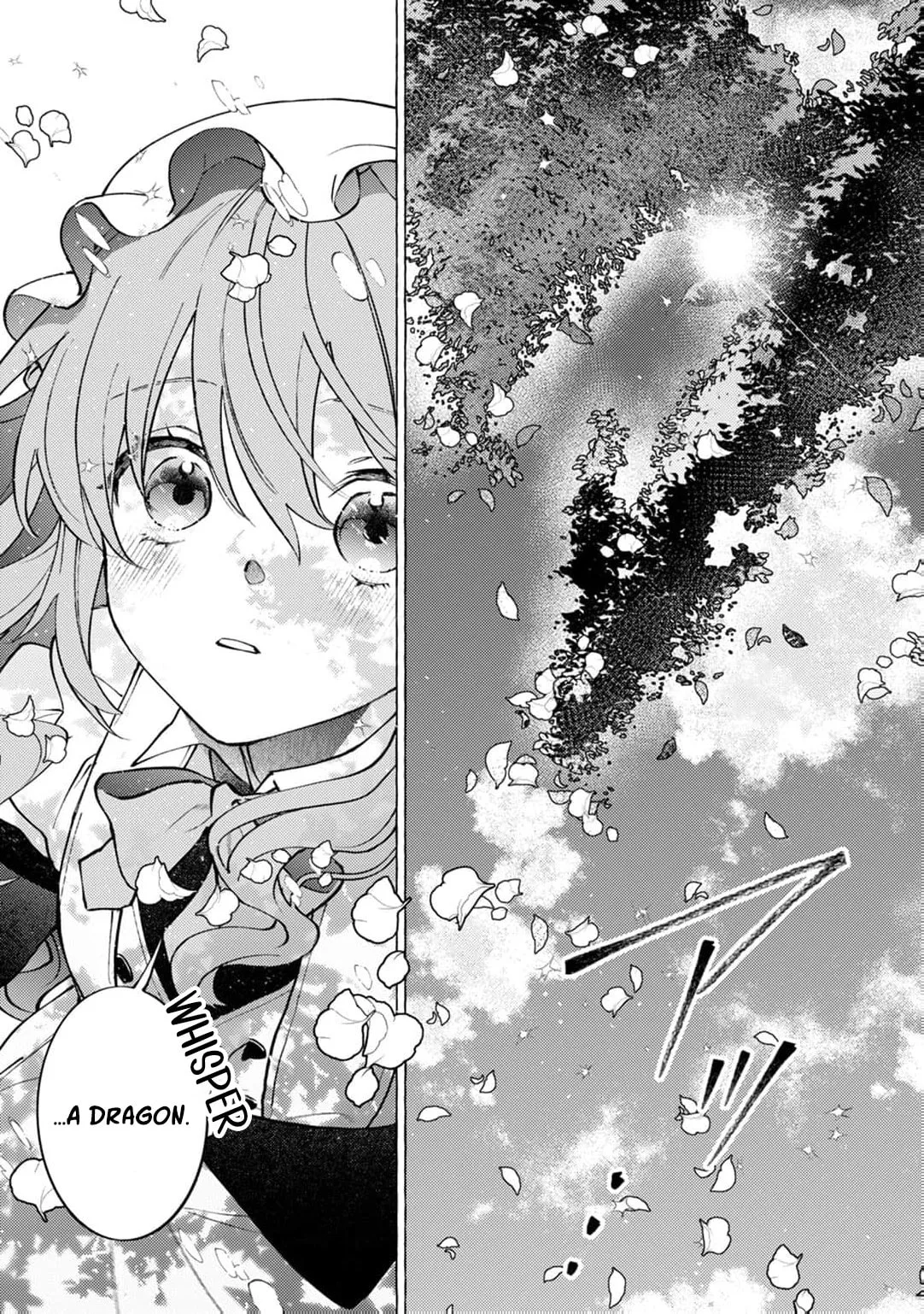 Wizrain Oukoku Monogatari ~Ryuu ga Hanayome~ Chapter 20 page 6