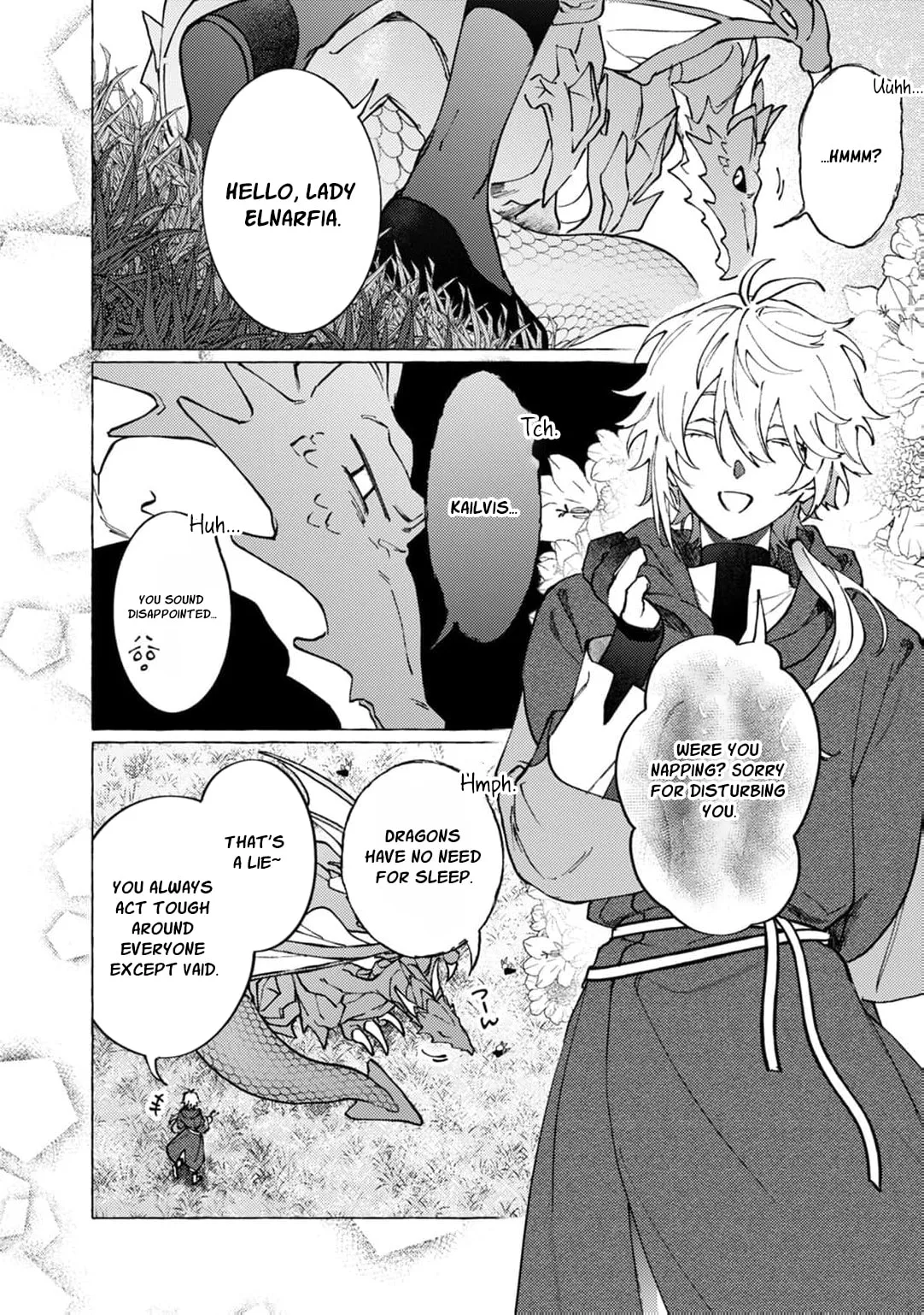 Wizrain Oukoku Monogatari ~Ryuu ga Hanayome~ Chapter 21 page 5