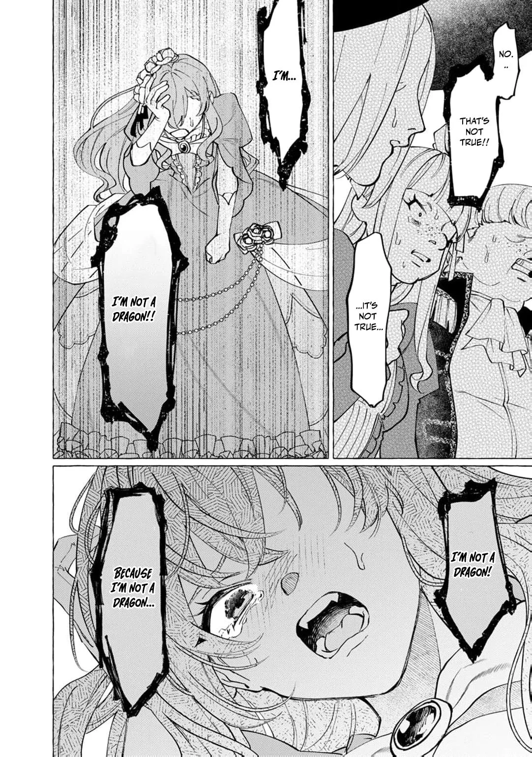 Wizrain Oukoku Monogatari ~Ryuu ga Hanayome~ Chapter 3 page 25