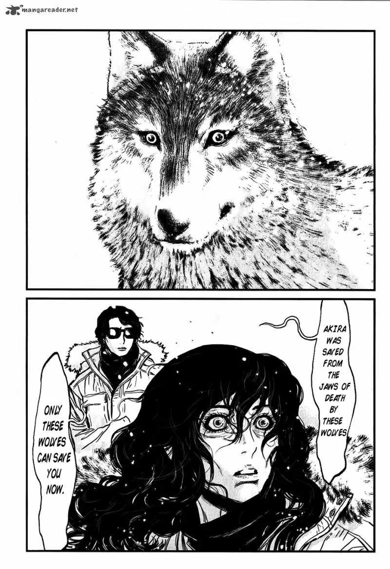 Wolf Guy Ookami no Monshou Chapter 115 page 18