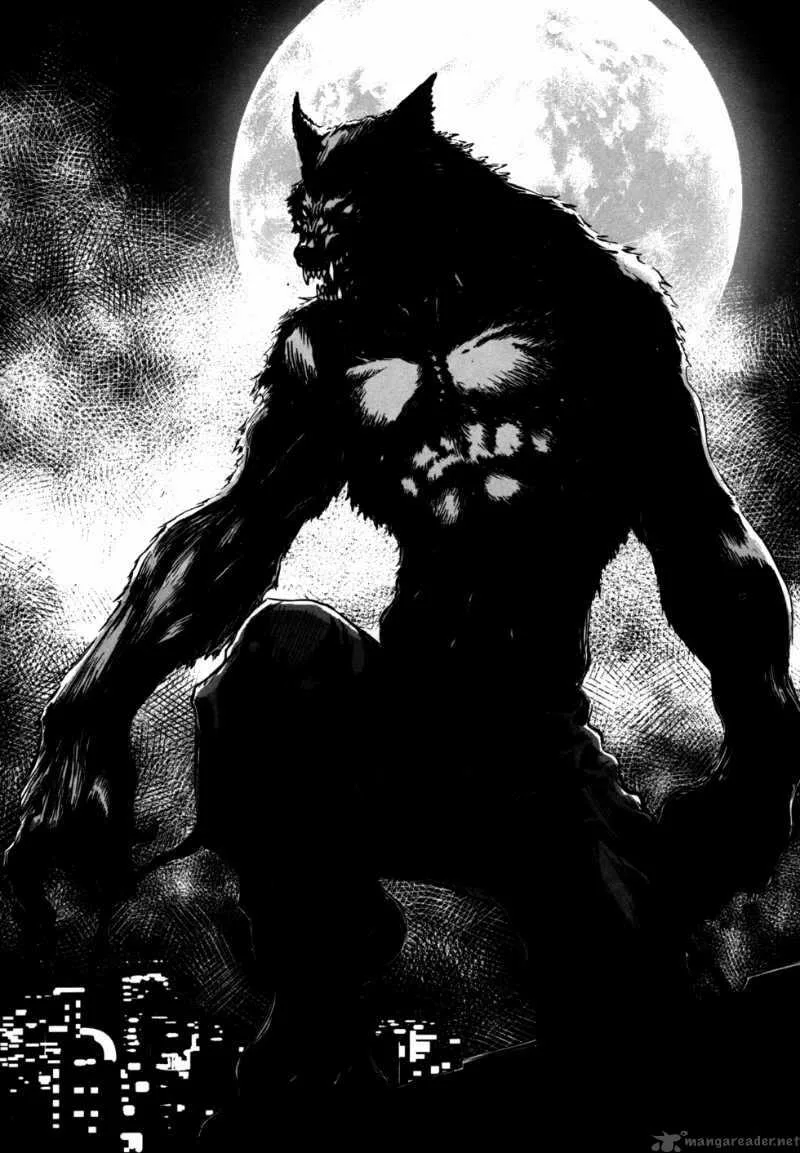 Wolf Guy Ookami no Monshou Chapter 45 page 19