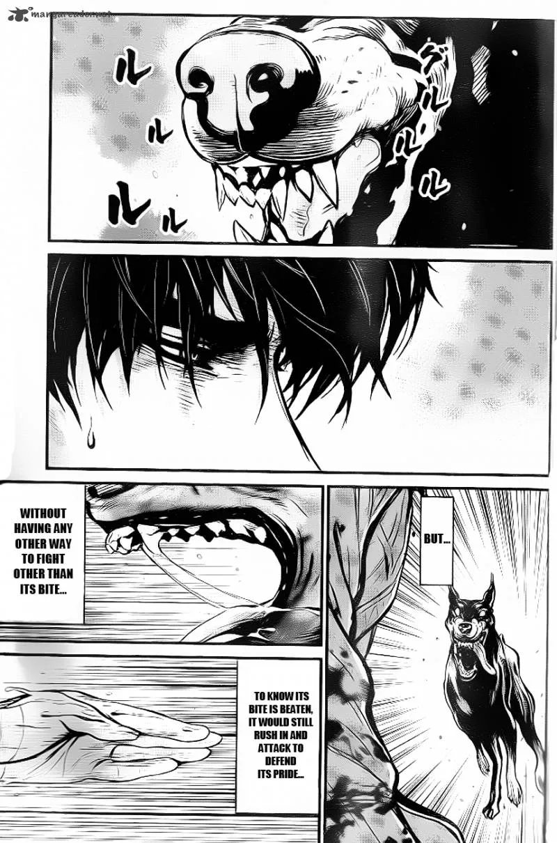 Wolf Guy Ookami no Monshou Chapter 89 page 17
