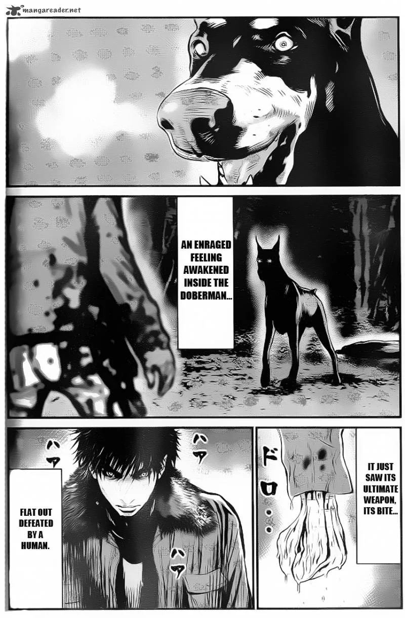 Wolf Guy Ookami no Monshou Chapter 89 page 16