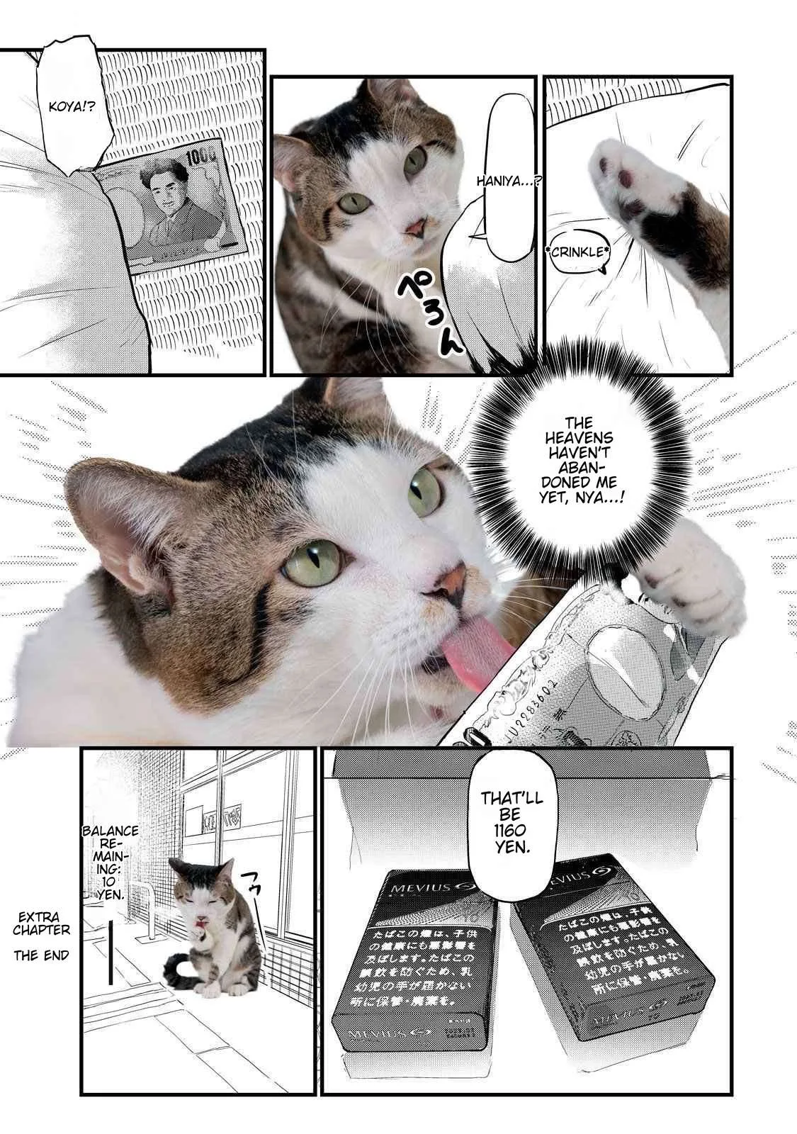 Yani Neko Chapter 141.1 page 4