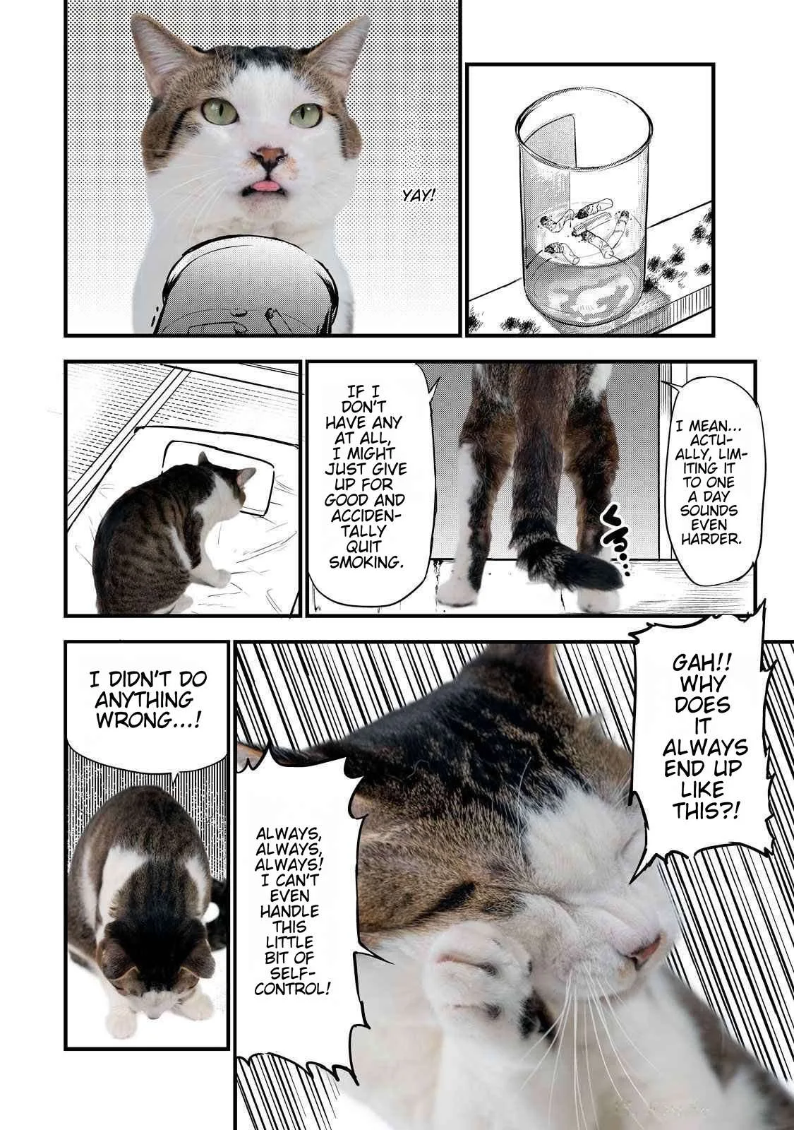 Yani Neko Chapter 141.1 page 3