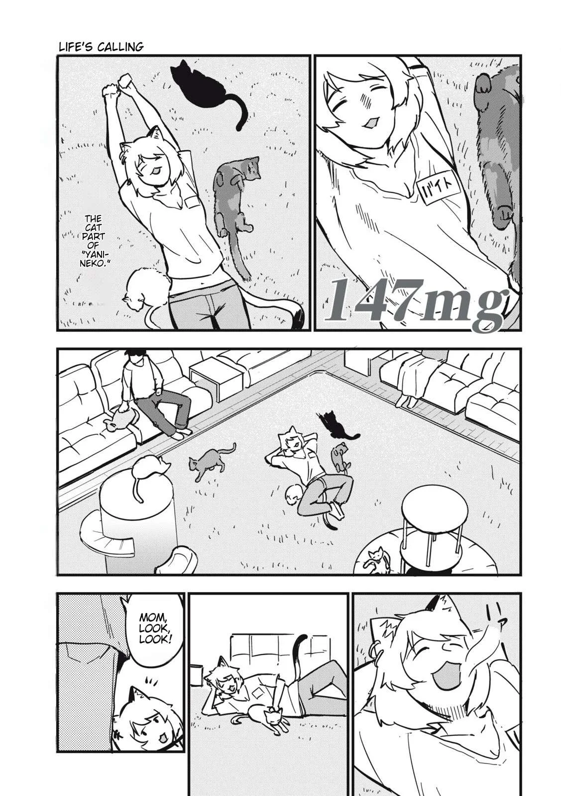 Yani Neko Chapter 147 page 1