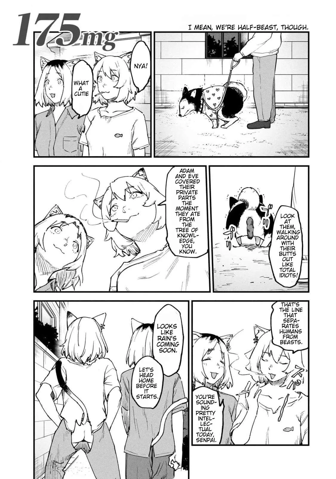 Yani Neko Chapter 175 page 1