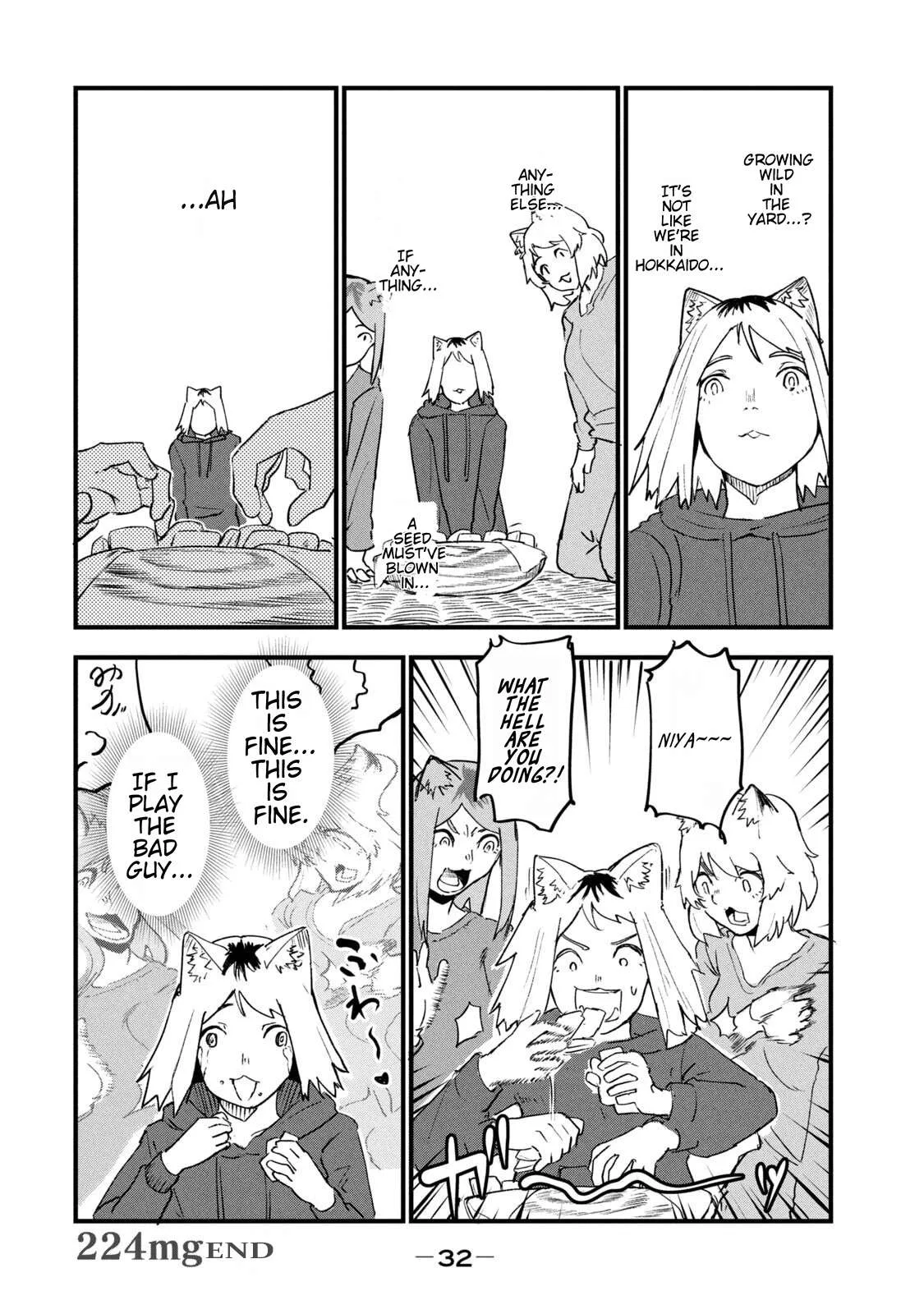 Yani Neko Chapter 224 page 4