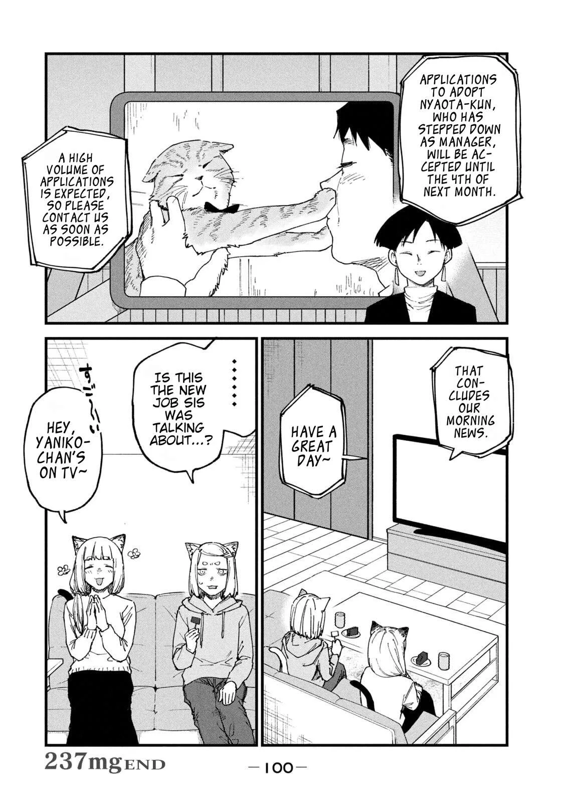 Yani Neko Chapter 237 page 4