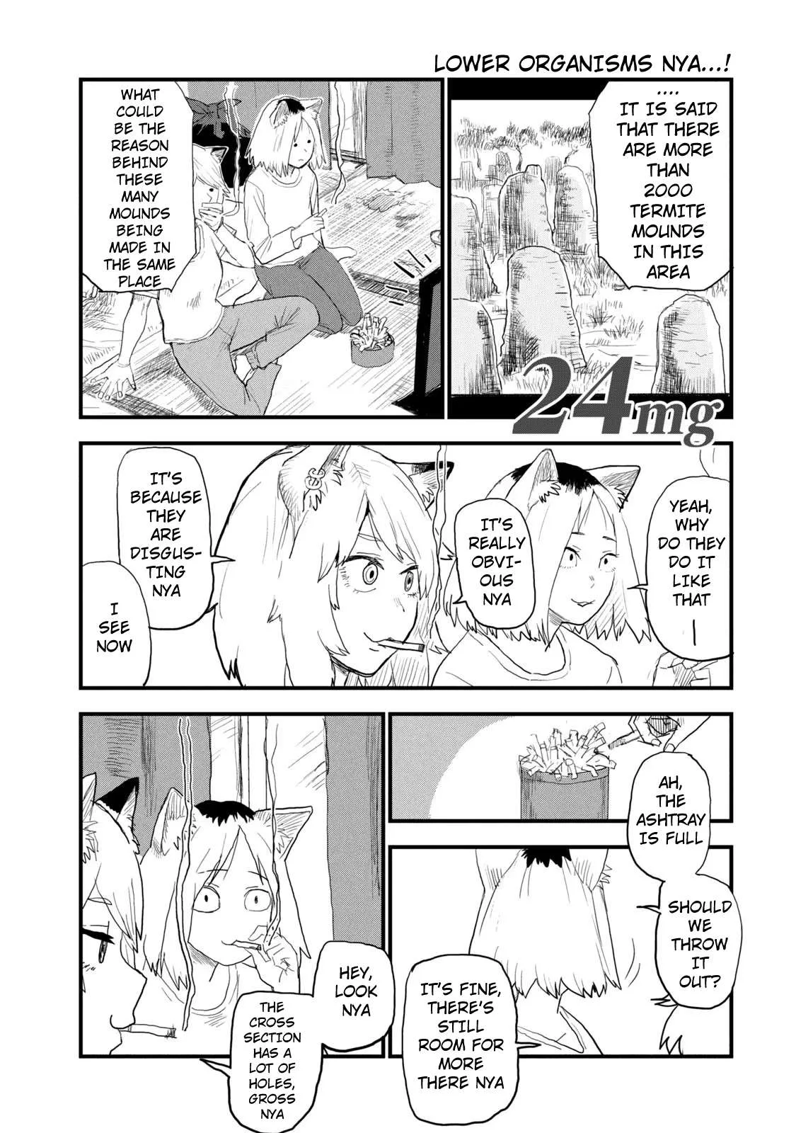 Yani Neko Chapter 24 page 1