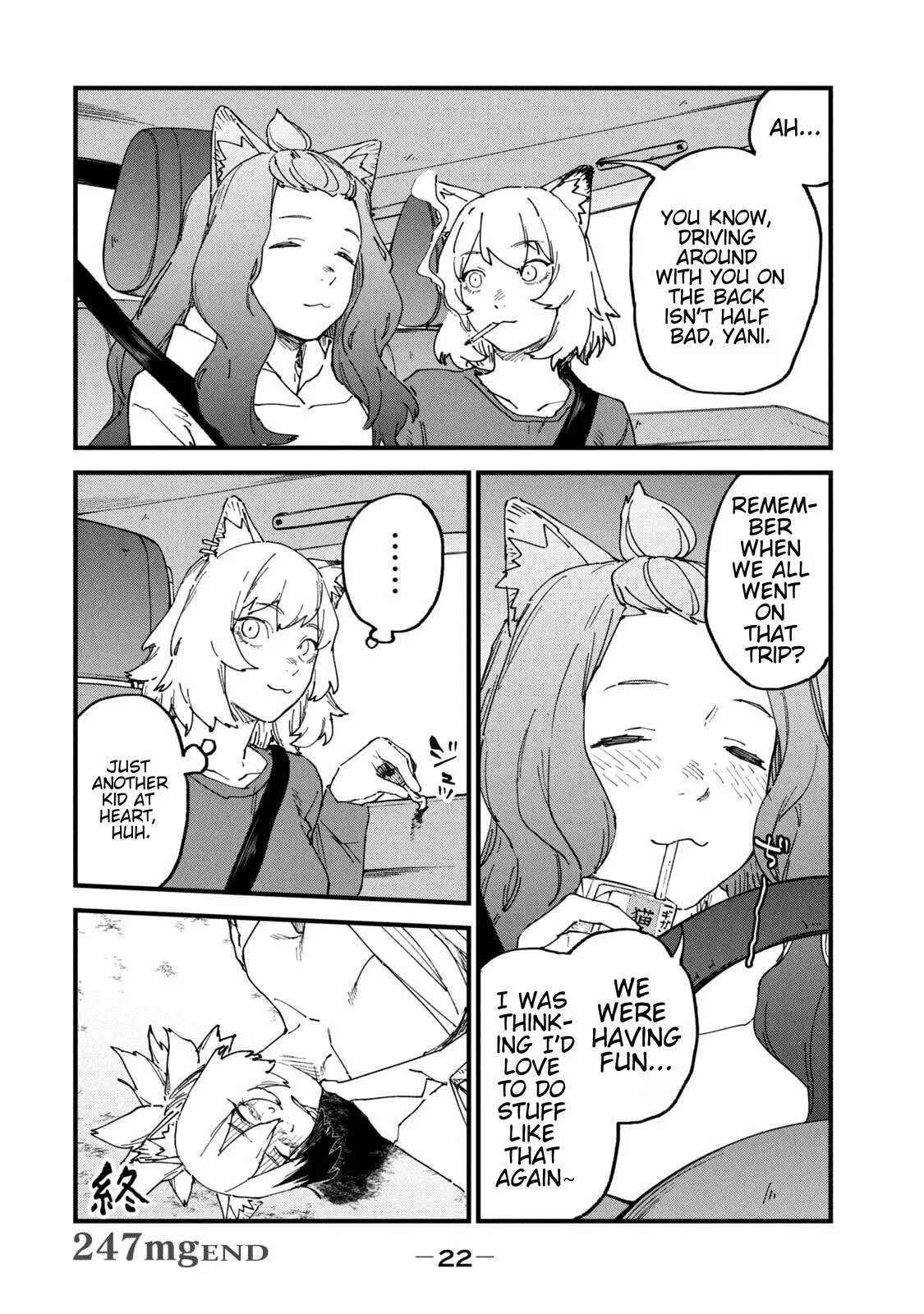 Yani Neko Chapter 247 page 4