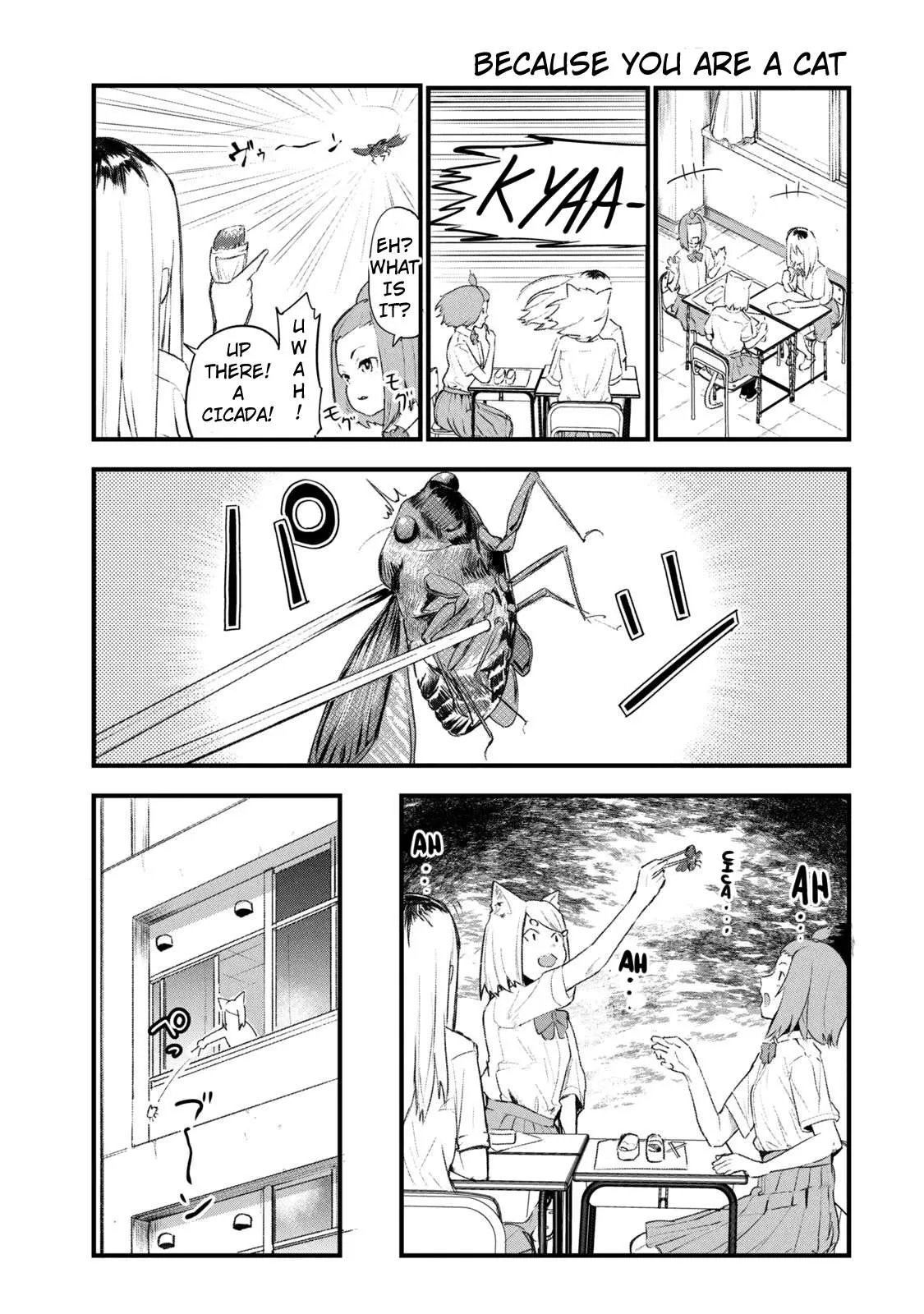 Yani Neko Chapter 28 page 5