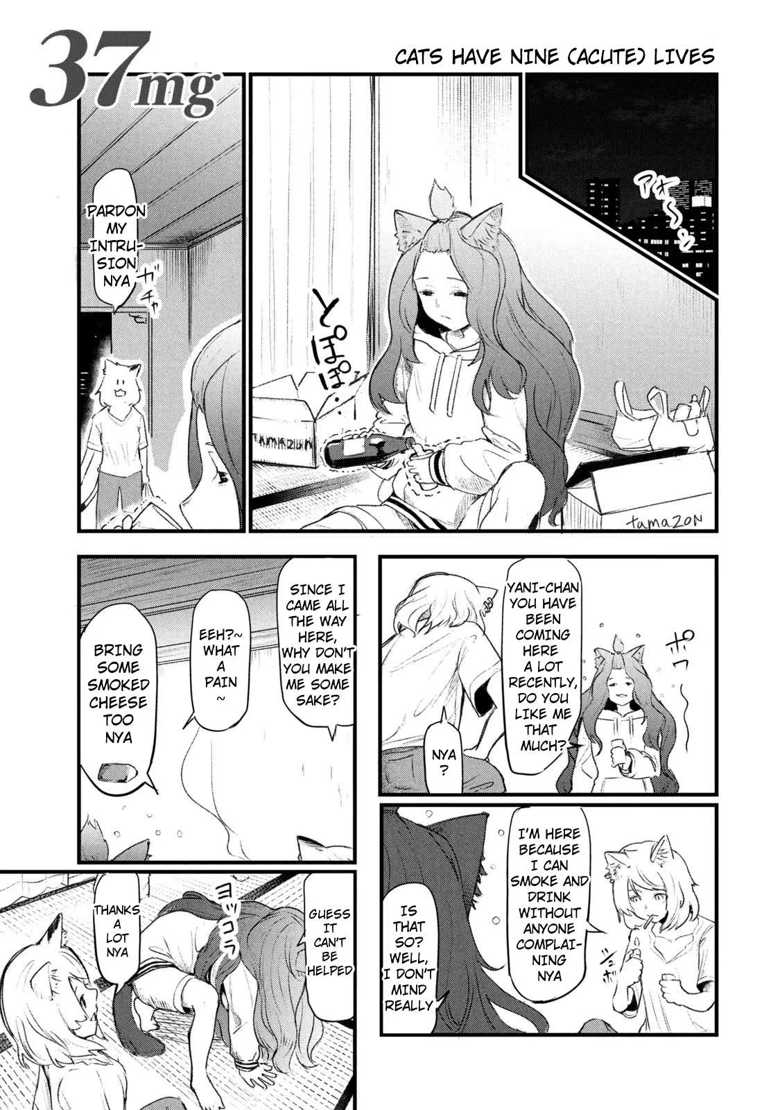 Yani Neko Chapter 39 page 1