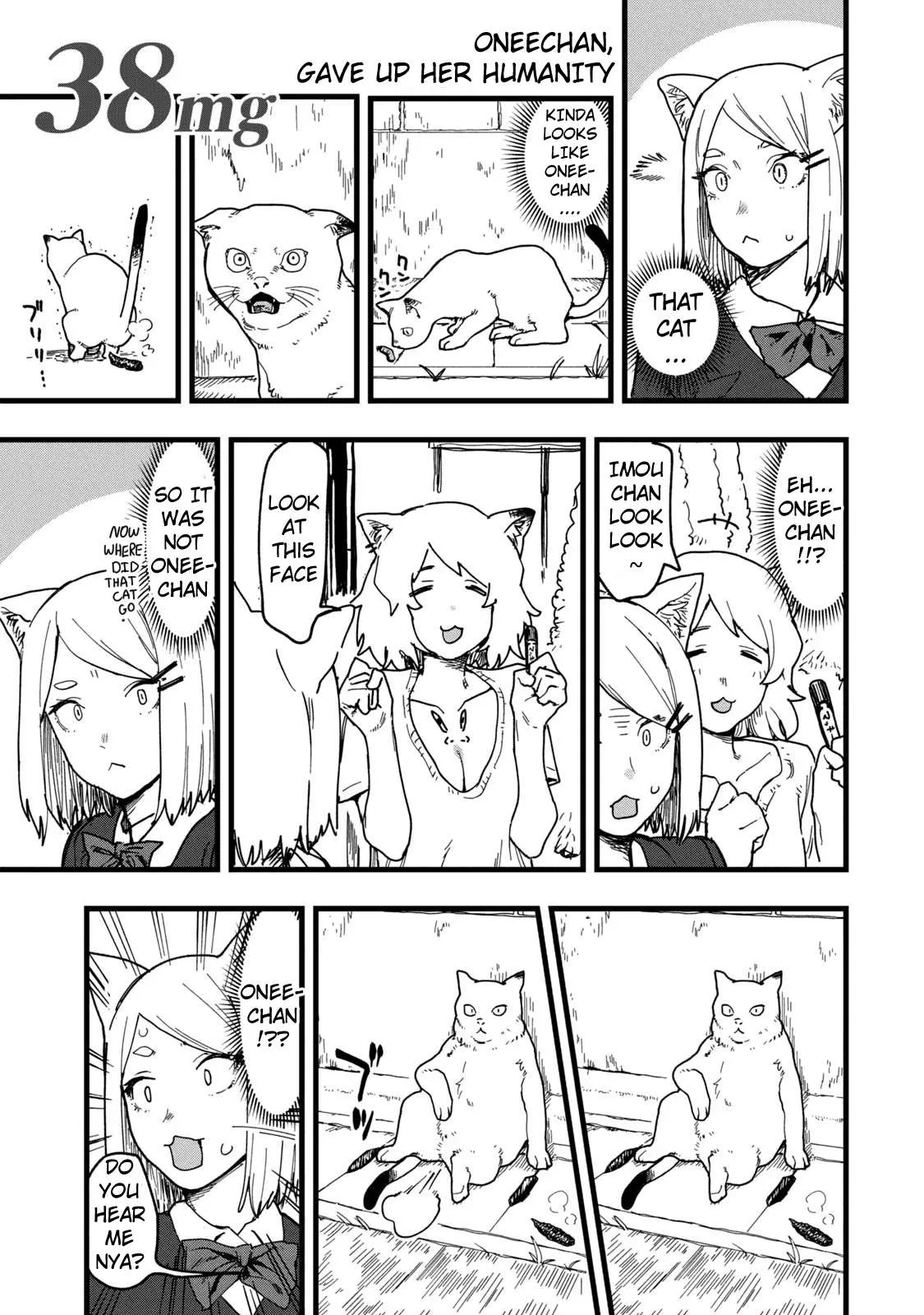 Yani Neko Chapter 40 page 1
