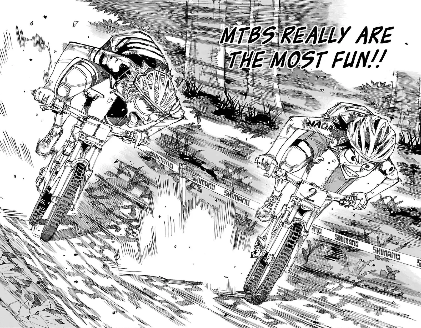 Yowamushi Pedal Chapter 574 page 14