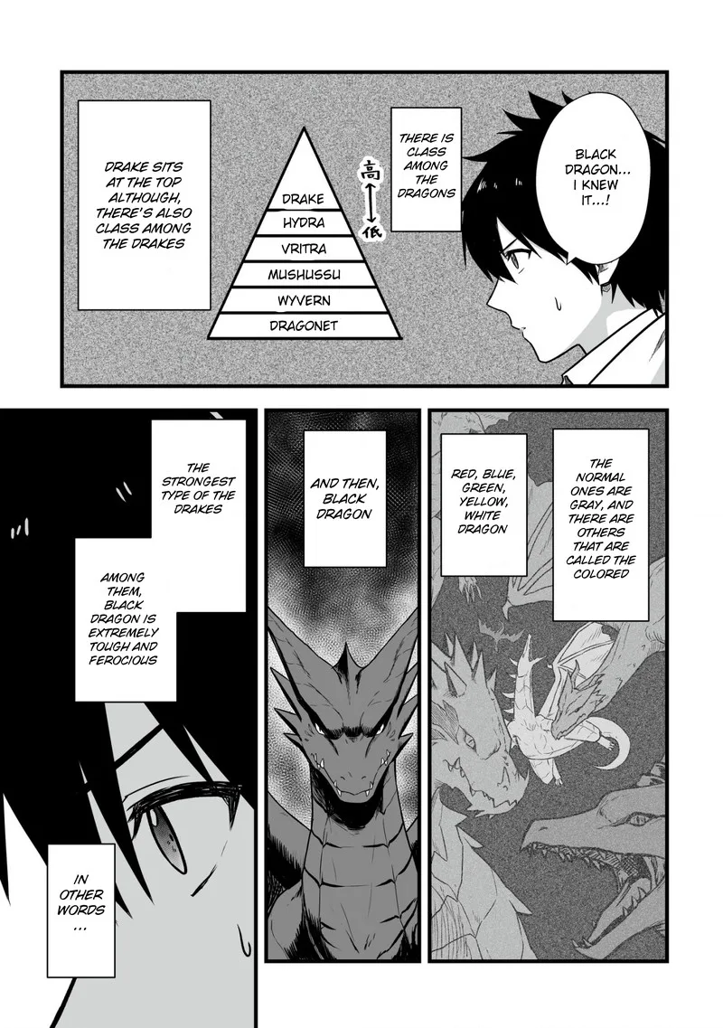 Yuiitsu Muni no Saikyou Tamer Chapter 3 page 11