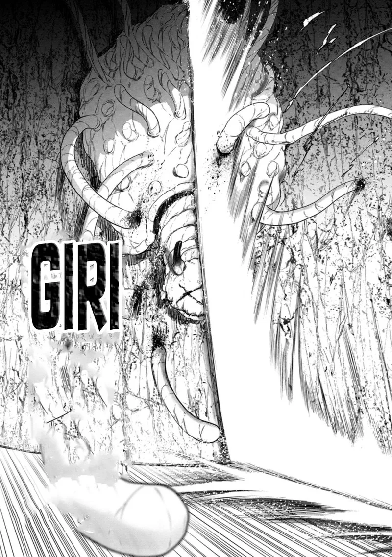 Zatsuyou Fuyojutsushi ga Jibun no Saikyou ni Kidzuku made Chapter 13 page 13