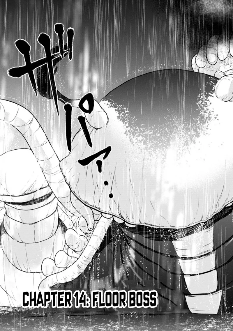 Zatsuyou Fuyojutsushi ga Jibun no Saikyou ni Kidzuku made Chapter 14 page 3