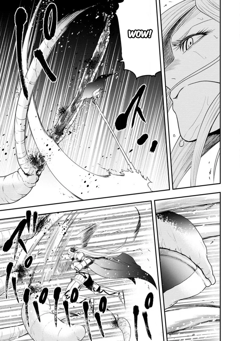 Zatsuyou Fuyojutsushi ga Jibun no Saikyou ni Kidzuku made Chapter 15 page 3